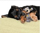 Brinquedo Pelúcia Kong Wild Knots Bear - Urso de Pelúcia com corda Resistente